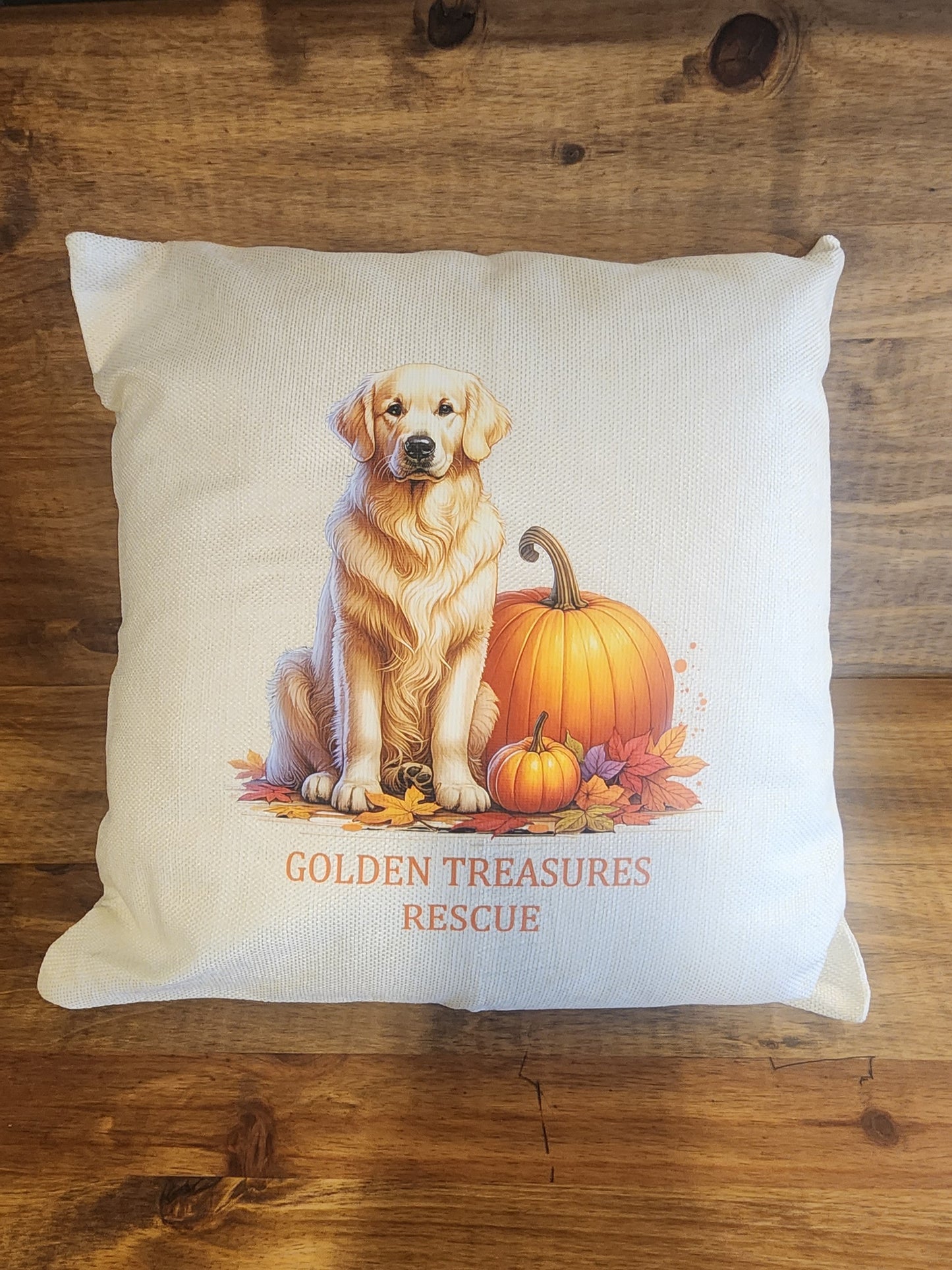 Fall Pumpkin Pillow