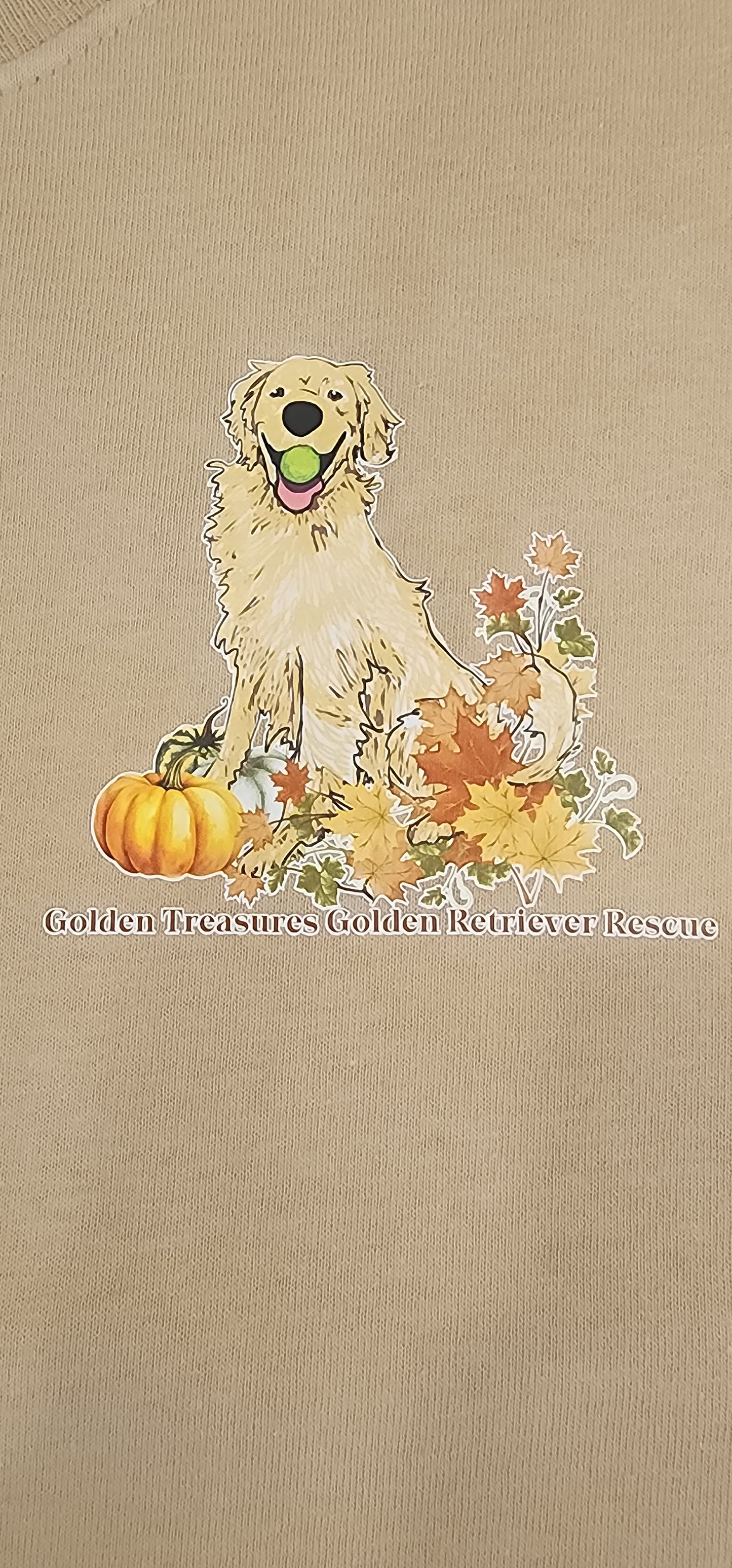 Fall Short Sleeve Tshirt